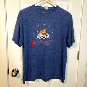 VTG Disney Store Pooh & Piglet 100 Acre Wood Resort & Spa single stitch tee szXL